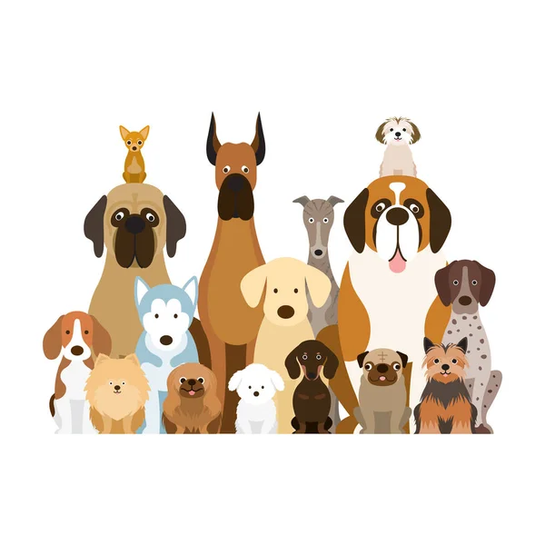 Group of Dog Breeds Illustration — Stock Vector