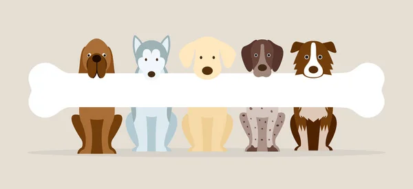 Group of Dog Breeds Holding Bone — Stock Vector