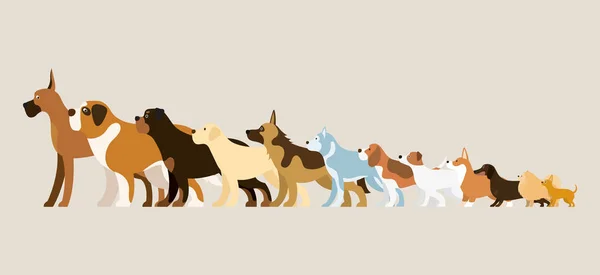 กลุ่มของสายพันธุ์สุนัข ภาพประกอบ — ภาพเวกเตอร์สต็อก
