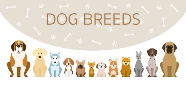 Groupe de races de chiens Illustration — Image vectorielle