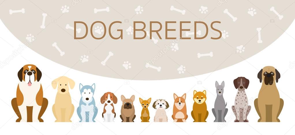 Group of Dog Breeds Illustration