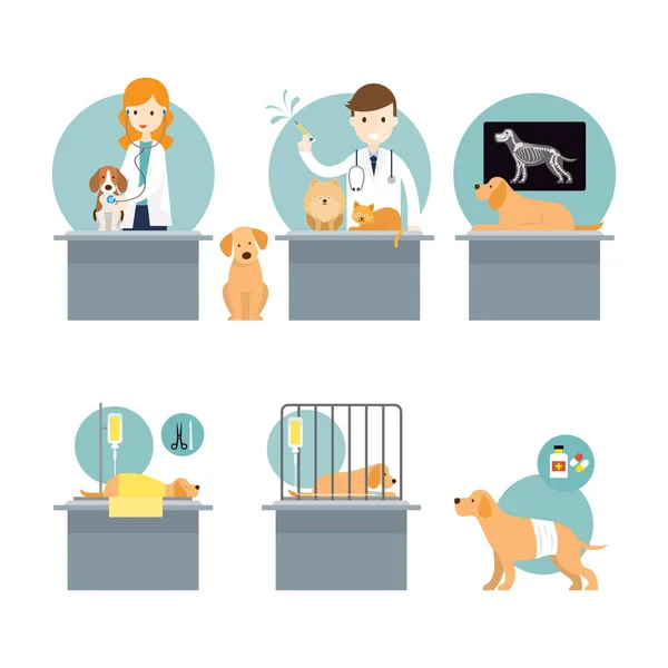 兽医检查和照顾生病的宠物 — 图库矢量图片