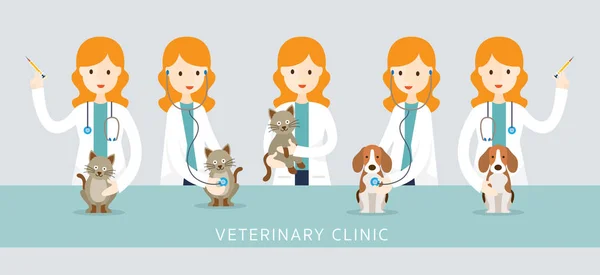 Female Veterinarian Checkup Pets — Stock Vector