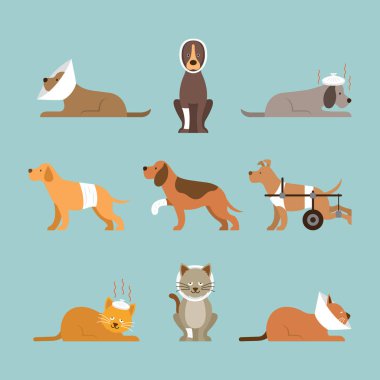Kediler ve köpekler hasta olsun
