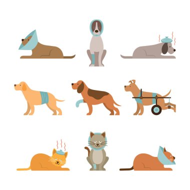 Kediler ve köpekler hasta olsun