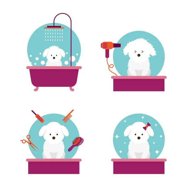 Chien dans le magasin ou le salon de toilettage — Image vectorielle