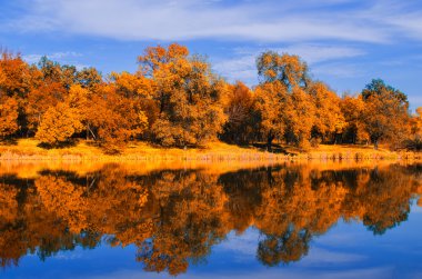 sonbahar güneşli günde güzel manzara
