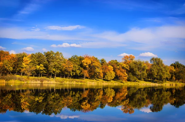 sonbahar güneşli günde güzel manzara