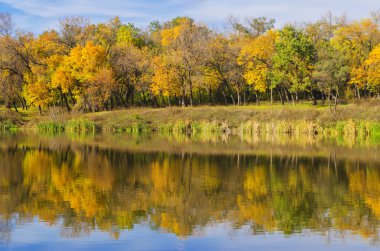 sonbahar güneşli günde güzel manzara