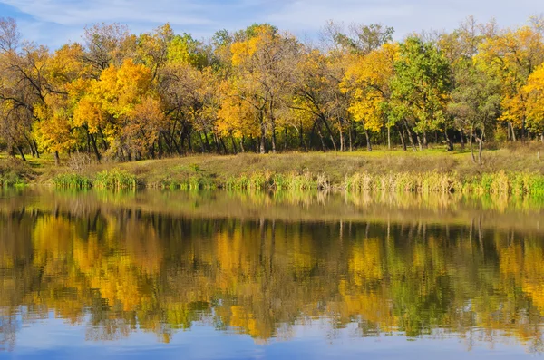 sonbahar güneşli günde güzel manzara