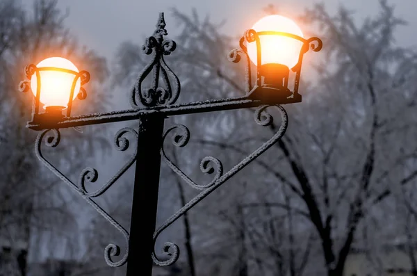 Lantern lit in winter park — Stock Photo, Image