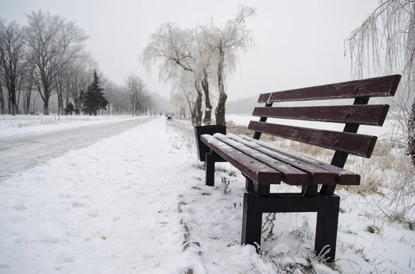Ławka w parku, pokryte śniegiem — Zdjęcie stockowe