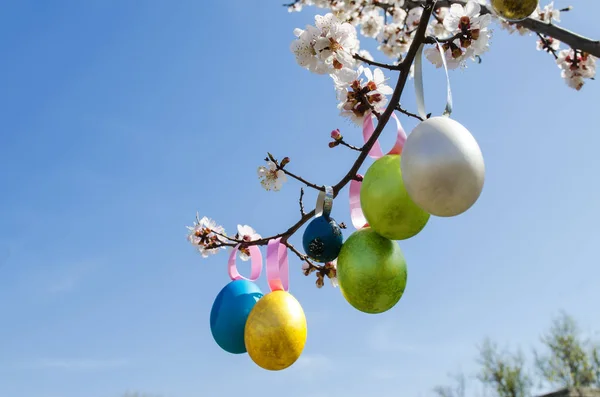 Paskalya yumurtası Ağaçta asılı