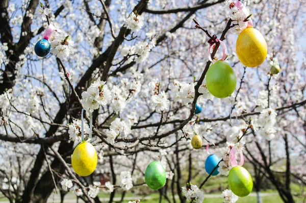 Paskalya yumurtası Ağaçta asılı