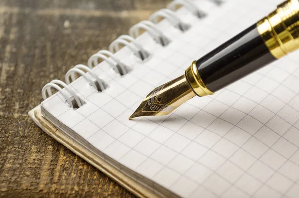 Tahta masadaki dolmakalem.