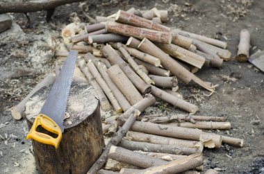 Bahçedeki sawlogs yakacak odun