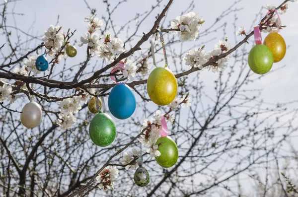 Easter egg hanging on a tree — Stock Photo, Image