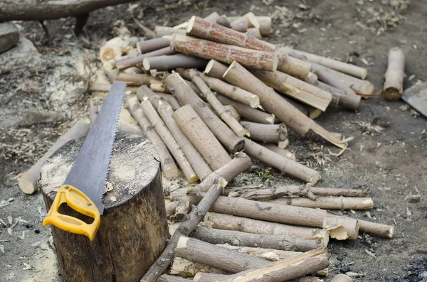 Sawlogs firewood in the garden — Stock Photo, Image