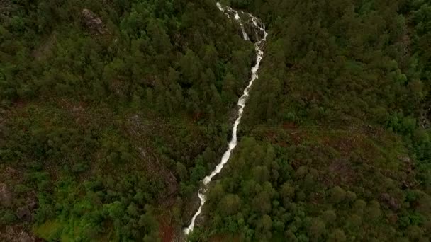 Водопад на горном ручье — стоковое видео