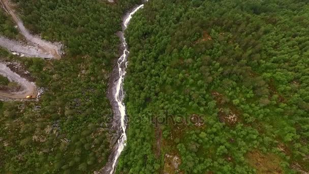 Νορβηγική δάσος. Ποτάμι βουνό. — Αρχείο Βίντεο