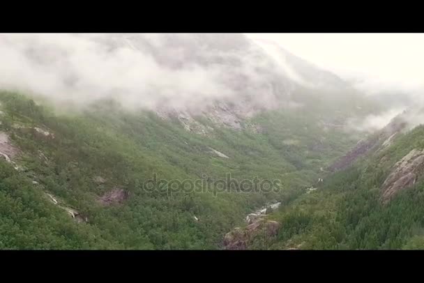 Norwegen. Straße in den Bergen. Wald. Blick von oben. Drohne — Stockvideo