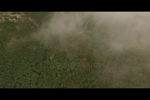 Норвегія. Гори. Ліс. Туман — стокове відео