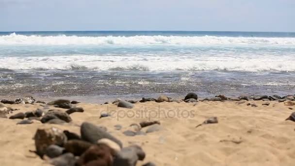 Viharos tenger homokos strand — Stock videók