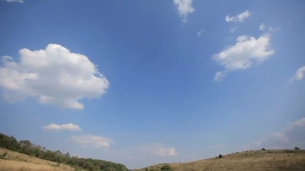 Nubes sobre un campo y una arboleda — Vídeos de Stock