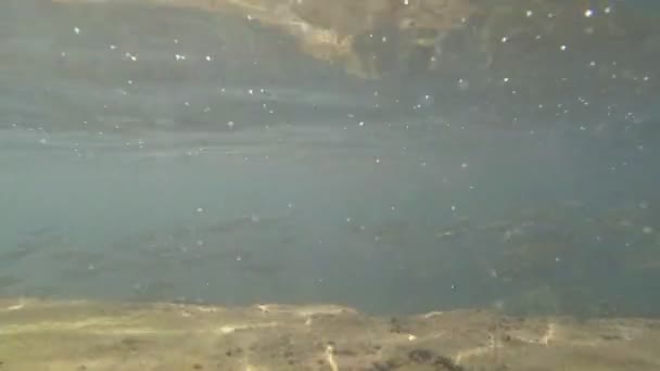 Underwater skott med solstrålar, bubblor och flock av fisk i tropiska hav. Malta. — Stockvideo