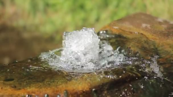 Μικρή πηγή στο δάσος. Ιαματικό νερό — Αρχείο Βίντεο