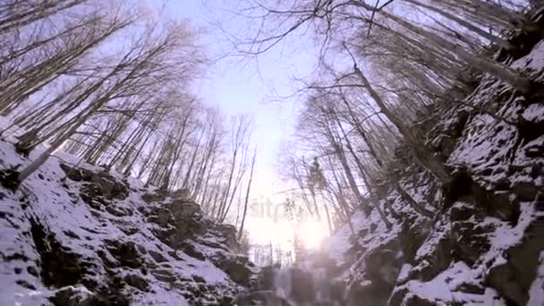 Vinter vattenfall. Karpaterna Ukraina — Stockvideo