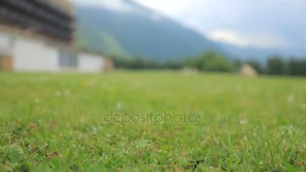 Flygning över en äng med grönt gräs. Georgien, Kazbegi — Stockvideo