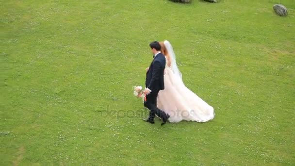 Braut und Bräutigam spazieren im grünen Gras, Blick von oben — Stockvideo