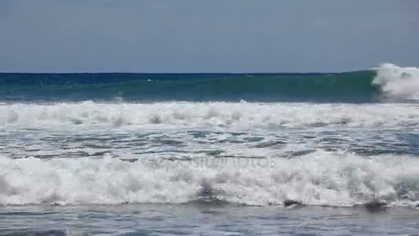 Ondas oceânicas na praia — Vídeo de Stock