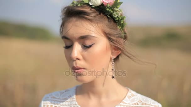 Portrait of beautiful girl on meadow background — Stock Video