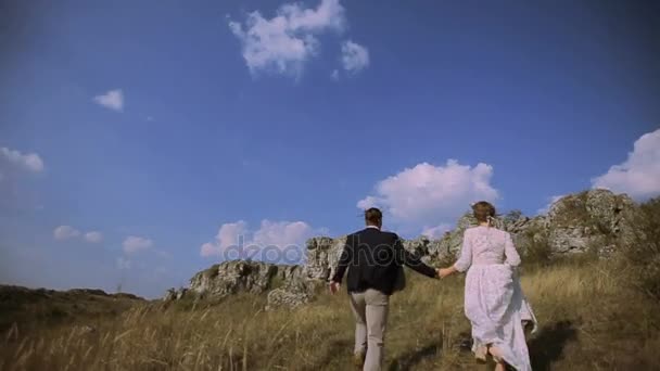 Счастливая пара веселится на лугу — стоковое видео