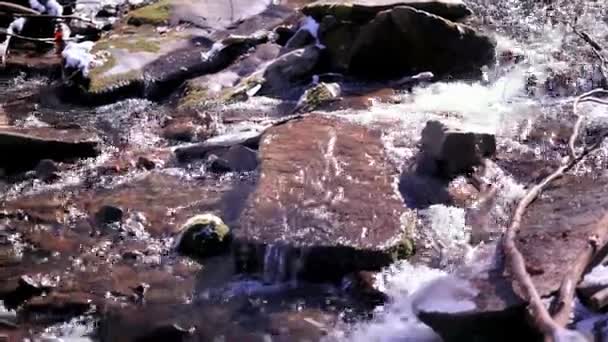 Gebirgsfluss mit klarem, kaltem Wasser — Stockvideo