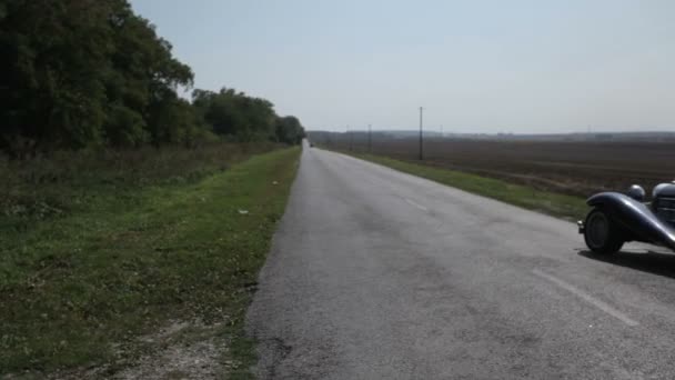 Filles avec un chien promenades dans une voiture — Video