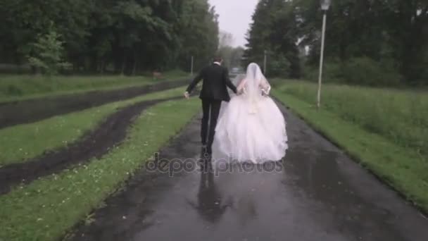 Bruid en bruidegom lopen in de regen — Stockvideo