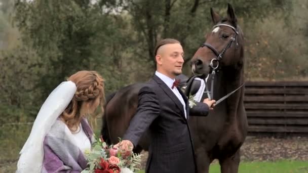 Hermosos recién casados con un caballo en el parque — Vídeo de stock