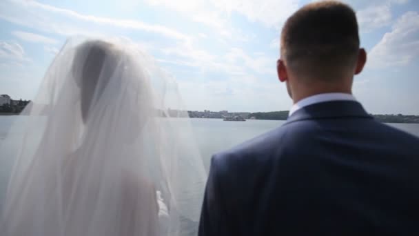 Bruid en bruidegom permanent in de buurt van blue lake — Stockvideo