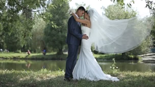 Jeunes mariés amoureux embrassant dans le parc — Video