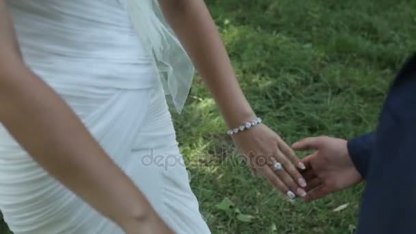 Beaux jeunes mariés joignant les mains dans le parc — Video