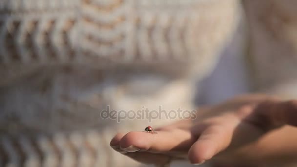 Kadın holding uğur böceği ellerinde — Stok video