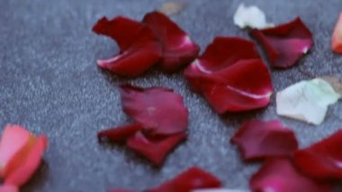 Romantik mum ışığında akşam yemeği için süslemeler 