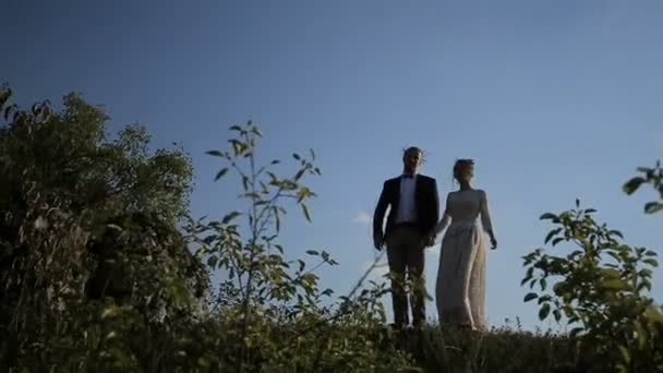 Casal de mãos dadas no prado — Vídeo de Stock