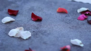 Gül yaprakları yere düşmek için romantik bir tarih. Dekor için romantik bir tarih. Romantik mum ışığında akşam yemeği için süslemeler.