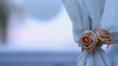 Beyaz kağıt topları parkta ağaç dikme dayan. Süslemeleri için romantik bir tarih. bir gül ile kemer parçası