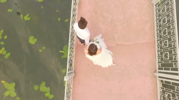 Mariée et marié marchent le long du pont. Vue d'en haut. Vue Aéro — Video