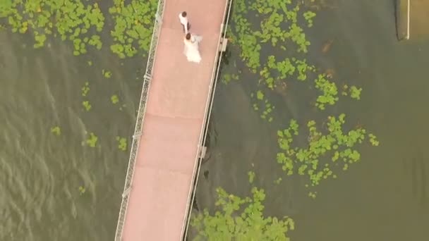 Noiva e noivo caminham ao longo da ponte. Vista de cima. Aero view — Vídeo de Stock